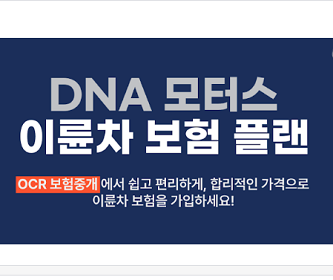 보험 접수